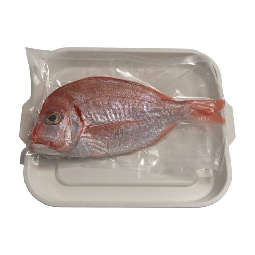 野生赤鯮